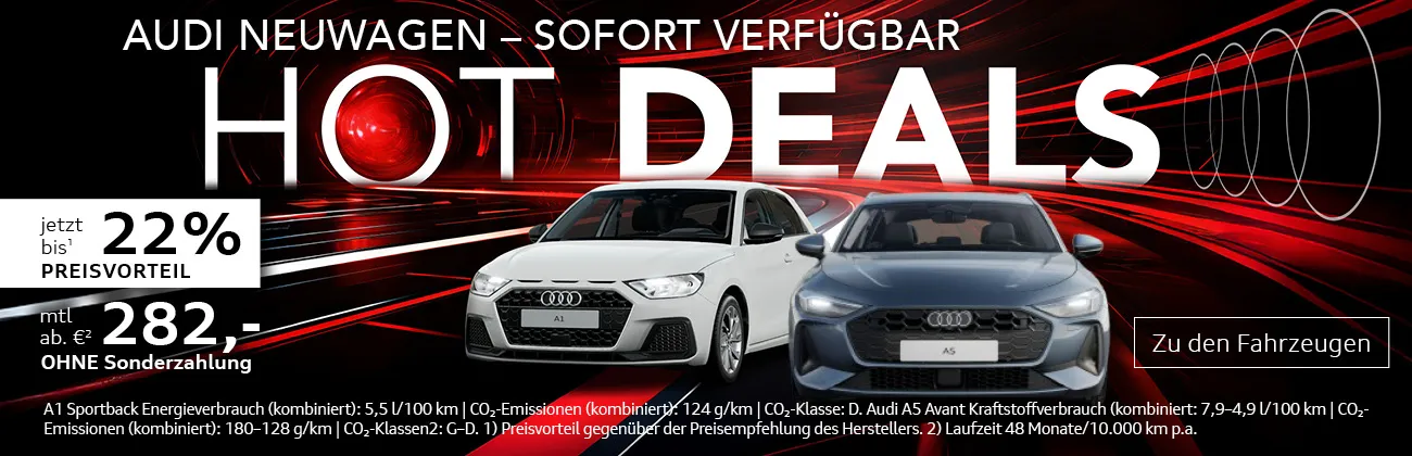 Audi Lageraktion