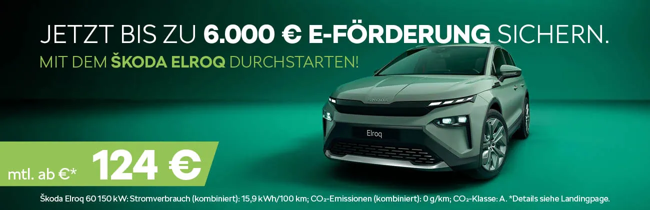 Slider Elroq Förderprämie