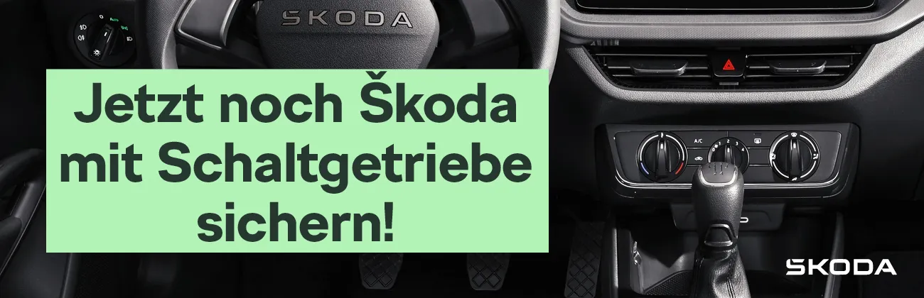 Skoda Schalter