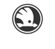 Skoda Icon