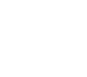 Volkswagen Icon