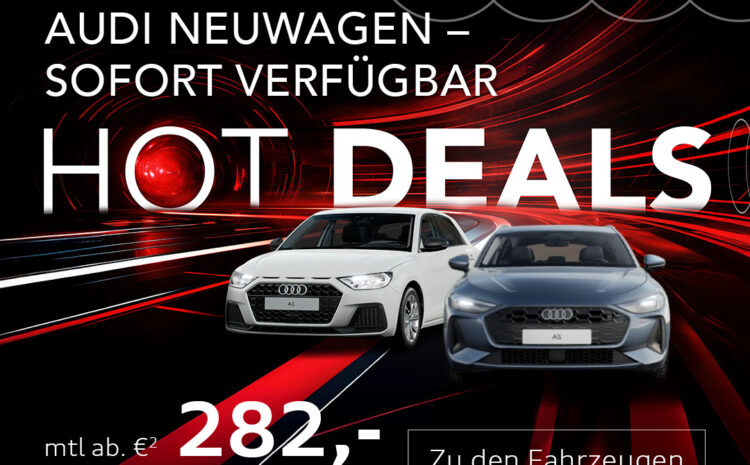  Audi Lageraktion